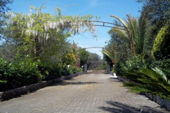 Contrada Macchia - photo 1