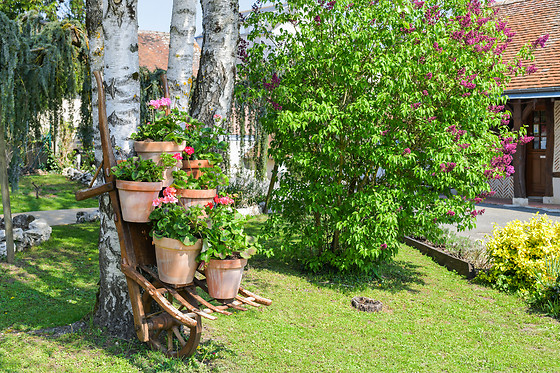 Hôtel De la Bonnheure - photo 9