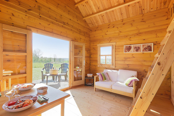 Un air de Cabane - photo 2