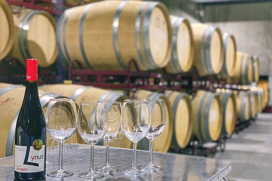 LYNUS, VIÑEDOS Y BODEGAS - photo 6