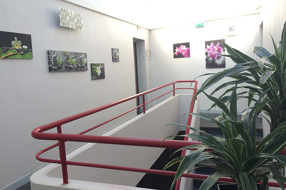 Au Royal Hotel - photo 5