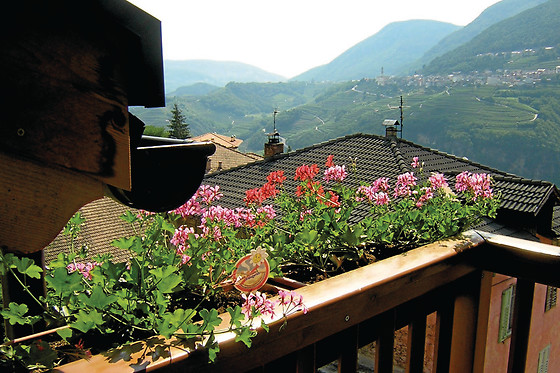 Hotel Alle Piramidi - photo 1