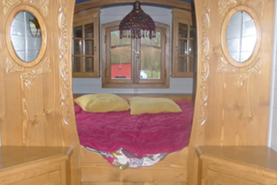 Cocogite - photo 7