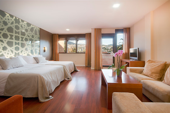 HOTEL GRANADA PALACE - photo 3