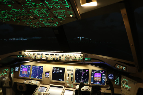 Skyway simulation - photo 7