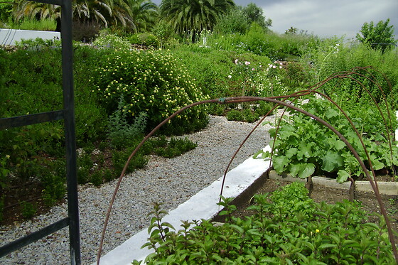 Quinta do Cano - photo 9