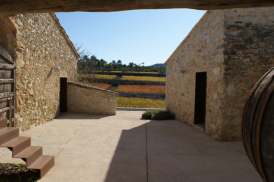 MAS RODO VITIVINICOLA - photo 3
