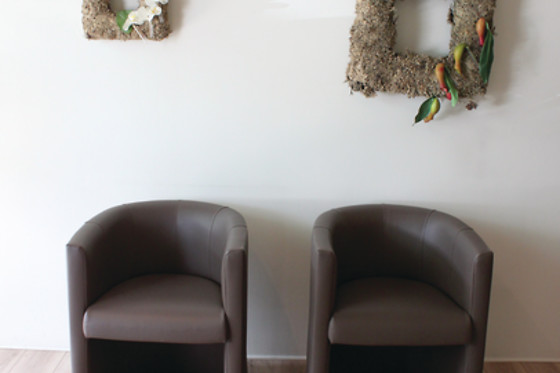 Bo-té Pure - photo 3
