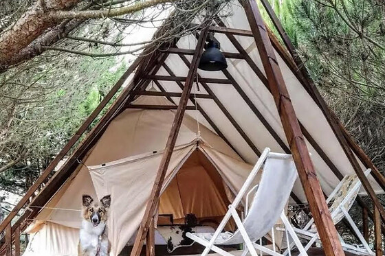 Kabaceira Apartments & Glamping - photo 12