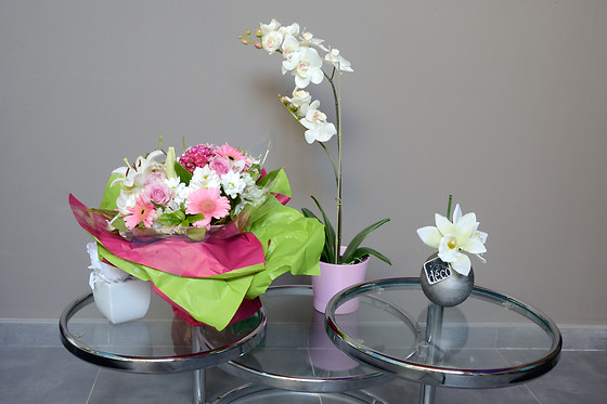 Aesthesis - photo 11