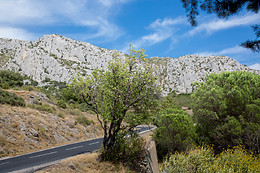 Domaine Vents du Sud