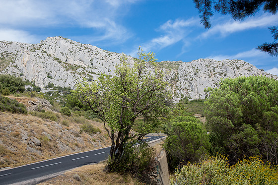 Domaine Vents du Sud - photo 11