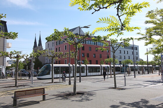 Hôtel d'Alsace - photo 11