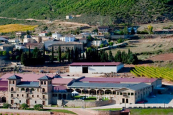 CURSO CATA DEL VINO - photo 1