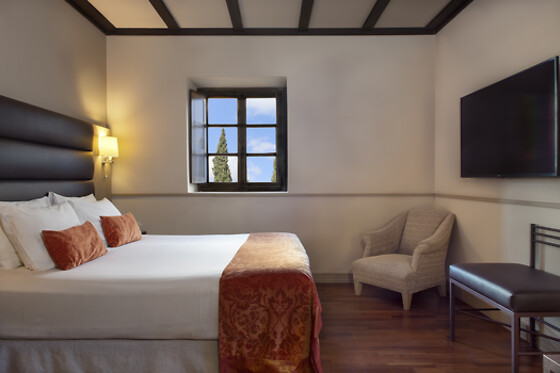HOSPES PALACIO DE SAN ESTEBAN - photo 3