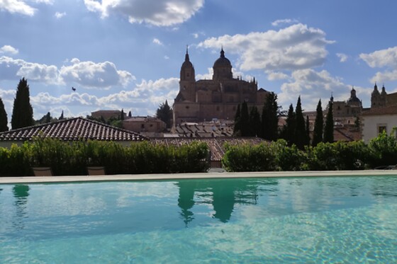 HOSPES PALACIO DE SAN ESTEBAN - photo 1
