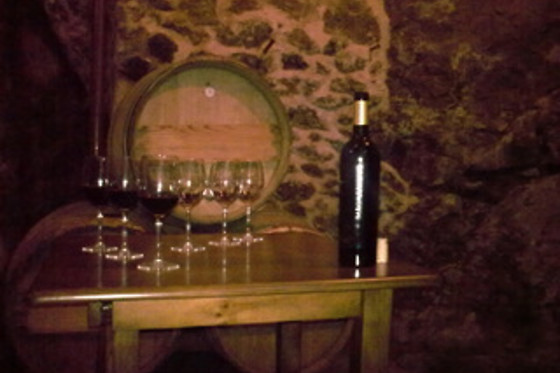 BODEGAS Y VIÑEDOS MAYO GARCIA - photo 1