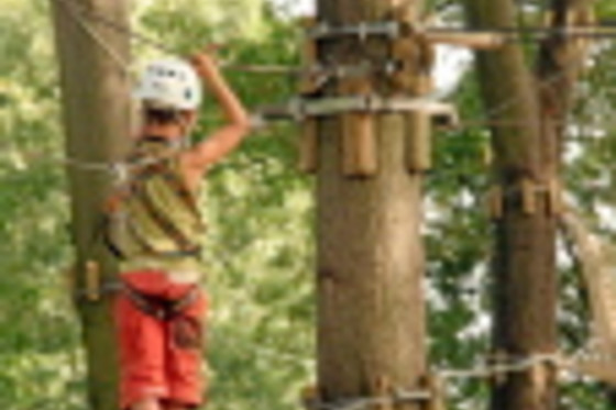 Forêt adrénaline rennes gayeulles - photo 15
