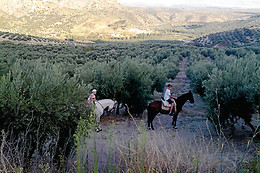 LA POSADA DE COLOMERA