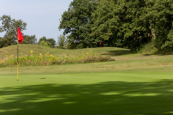 Ugolf Metz Cherisey - photo 4