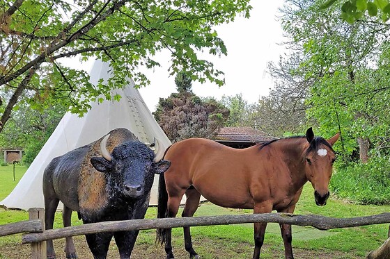 The Good Time Family Ranch - photo 15