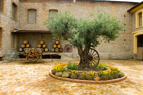 BODEGA MARQUES DE MONTECIERZO - photo 7
