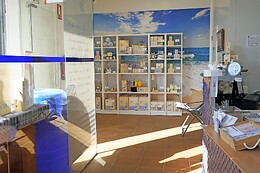 CONSERVAS 5Ñ DE SANTOÑA