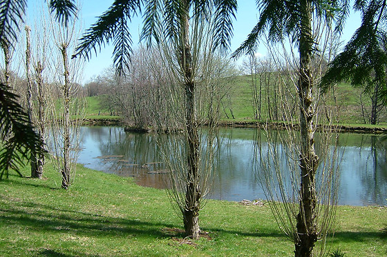Le Moulin du Pont - photo 5