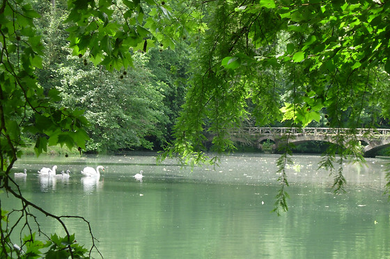 Domaine de Vadancourt - photo 6