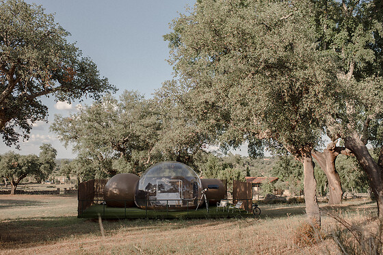 FINCA EL CORTIÑAL - photo 4