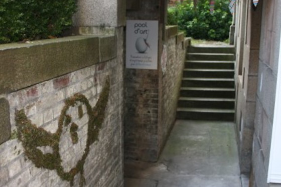 Pool d'art - photo 8