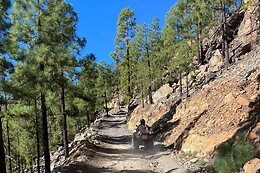 FUN TEIDE QUAD