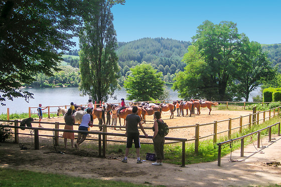 Ferme du Lac - photo 2