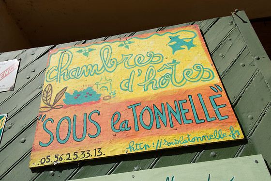 Sous la tonnelle - photo 7