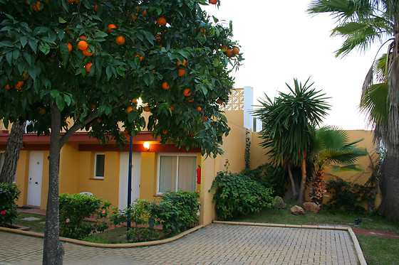 HOTEL DUNAS PUERTO - photo 2
