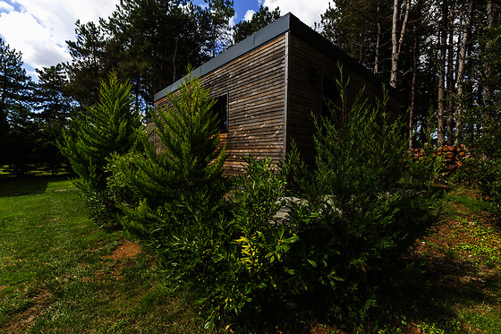 La Maison dans les Bois - photo 4