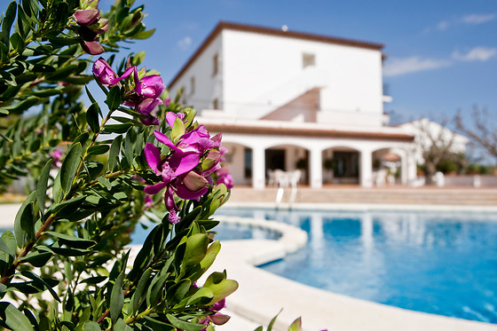 HOTEL RESTAURANT BON RETORN - photo 2