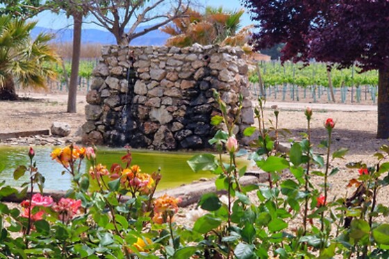 BODEGAS SANTA MARGARITA - photo 0