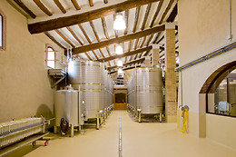CELLER CARLES ANDREU