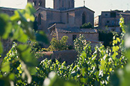 BODEGA OLIVERA