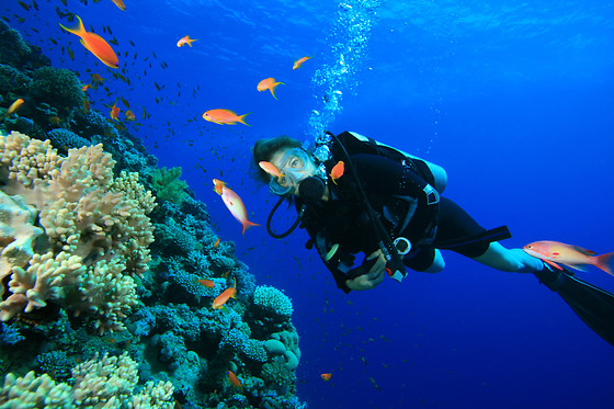 TOSSASUB DIVING CENTER - photo 10