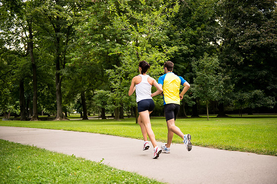 Sightrunning Alsace - photo 2
