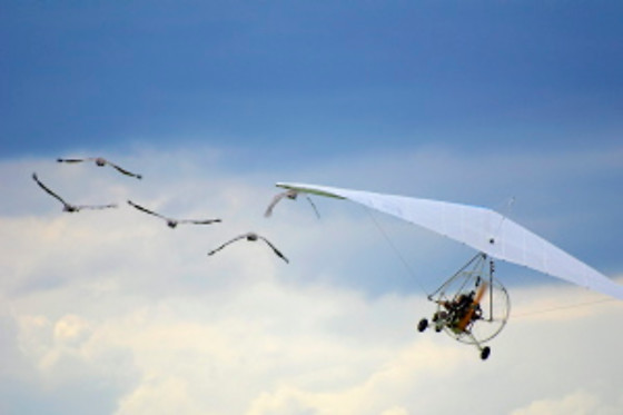 AEROCLUB L'ESTARTIT - photo 8