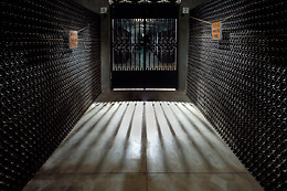 BODEGAS OSBORNE MONTECILLO