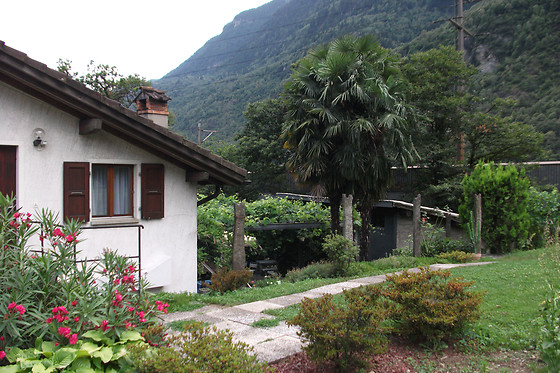 Grotto Pergola - photo 3