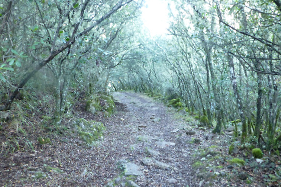RUTAS XANZÁ - photo 7