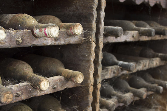 BODEGAS GRUPO RUBERTE - photo 3