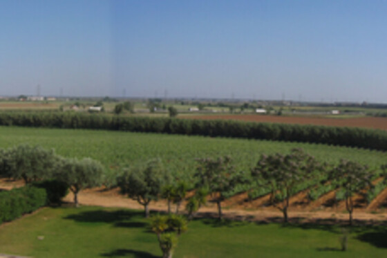 QUINTA DO CARNEIRO - photo 4