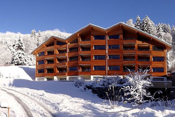Romantik Hotel Schweizerhof Grindelwald - photo 0