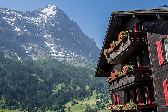 Romantik Hotel Schweizerhof Grindelwald - photo 13